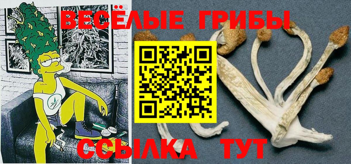 Галлюциногенные грибы MAGIC MUSHROOMS Бугуруслан
